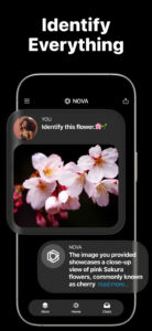 AI Chatbot - Nova 1.3.2