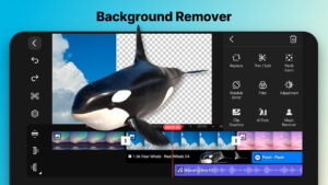 KineMaster - Video Editor 6.3.4.28555.GP (nodpi) (Android 8.0+)