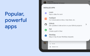 Google Chat 2025.08.18.797896335.Release