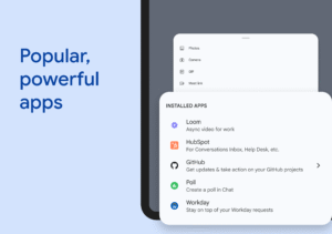Google Chat 2025.08.18.797896335.Release