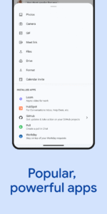 Google Chat 2025.08.18.797896335.Release