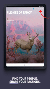 Flipboard:Your Social Magazine 4.2.92