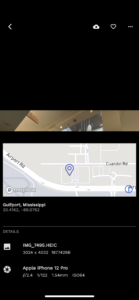 Immich (f-droid version) 3.2.2 Immich (f-droid version) 3.2.2