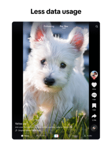 TikTok Lite 39.3.1