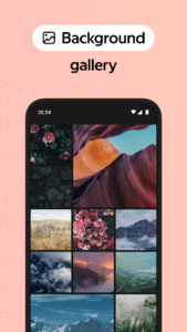 Yandex Browser (alpha) 24.6.3.32