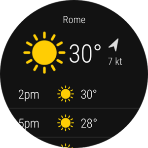 Windy.com - Weather Forecast (Wear OS) 50.1.1