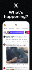 X (Formerly Twitter) 9.4.0-beta.03
