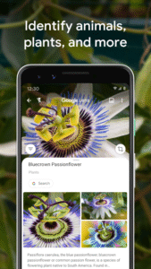 Google Lens 1.18.2507310