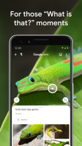 Google Lens 1.18.2507310