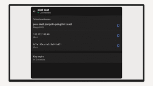 Tailscale (Android TV) 1.86.4-t3149aad97-g320ff0bef