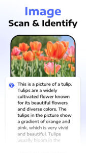 Deep Think - AI Seek Chatbot 1.9.1-25080544