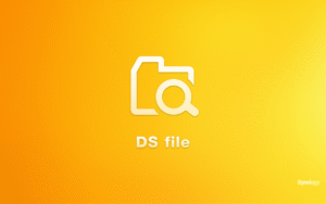 DS file 4.15.2