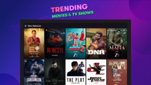 OTTplay: Watch Movies & Shows 0.37.50