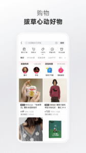 rednote 7.97.0 (arm64-v8a) (nodpi) (Android 5.0+)