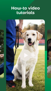 Dogo — Puppy and Dog Training 10.27.0
