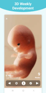 Pregnancy + | Tracker app 7.1