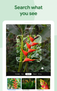 Google Photos 7.43.0.800979239