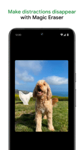 Google Photos 7.43.0.800979239
