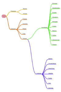 miMind - Easy Mind Mapping 8.39