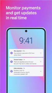 Stripe Dashboard 2.24.2