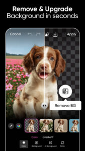 Picsart AI Photo Editor, Video 28.4.5
