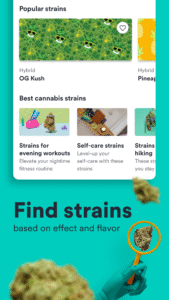 Weedmaps: Buy Local Weed 9.34.0