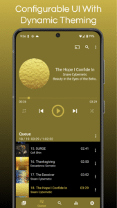 GoneMAD Music Player 3.5.3