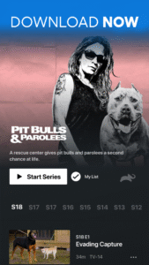 Animal Planet GO 3.59.0