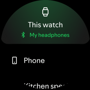 Spotify: Music and Podcasts (Amazon Fire Tablet version) 9.1.22.1630