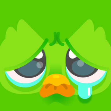 68c0345d4ca01_com.duolingo-384x384.png
