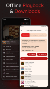Symfonium: Music player & cast 13.5.0b Symfonium: Music player & cast 13.5.0b