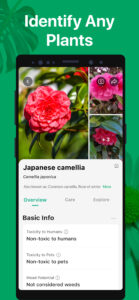 PictureThis - Plant Identifier 3.25 PictureThis - Plant Identifier 3.25