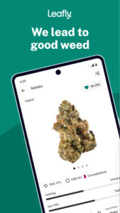 Leafly: Find Cannabis and CBD 8.12.2 (Android 6.0+)