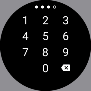 Passwords & Passkeys-Safe 22.3.3 Passwords & Passkeys-Safe 22.3.3