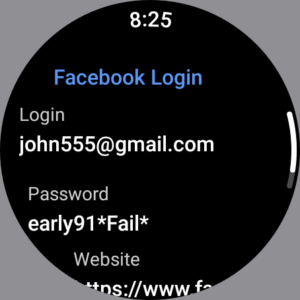Passwords & Passkeys-Safe 22.3.3 Passwords & Passkeys-Safe 22.3.3