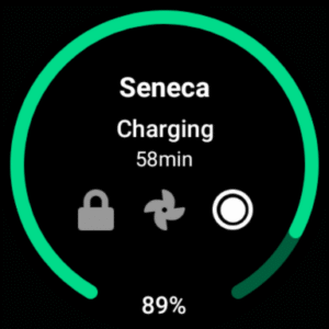 Tessie — Track your Tesla (Wear OS) 15.2.52
