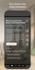 Dreambeans by Google Labs 2026.06.02.925660361-release Dreambeans by Google Labs 2026.06.02.925660361-release