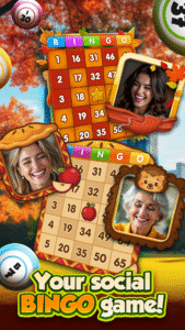 GamePoint Bingo Games of Bingo 1.295.58506