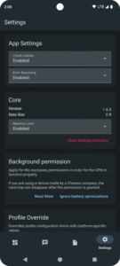 sing-box 1.13.4 sing-box 1.13.4