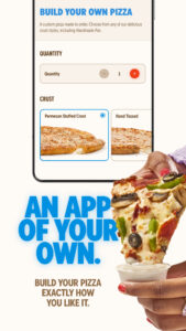 Domino's Pizza USA 13.2.1