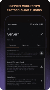 Amnezia VPN 4.8.11.5