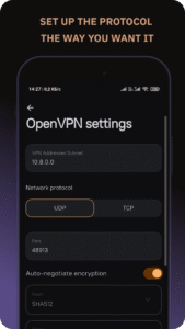 Amnezia VPN 4.8.11.5