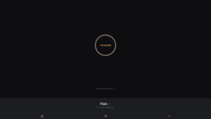 Amnezia VPN 4.8.11.5