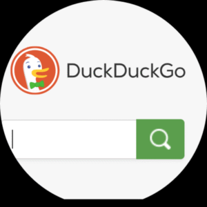 WristWeb: Web Browser Wear OS 3.4 WristWeb: Web Browser Wear OS 3.4