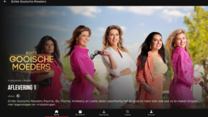 Videoland (Android TV) 1.108.5 Videoland (Android TV) 1.108.5
