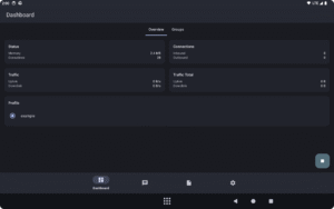 sing-box 1.13.4 sing-box 1.13.4