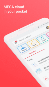 MEGA 15.23(253301236)(a32863d281) MEGA 15.23(253301236)(a32863d281)