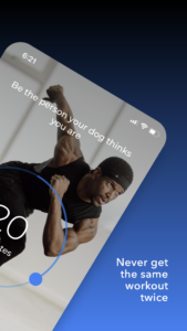 HIIT | Down Dog 8.1.7