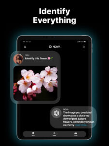 AI Chatbot - Nova 4.0.8 (160-640dpi) AI Chatbot - Nova 4.0.8 (160-640dpi)