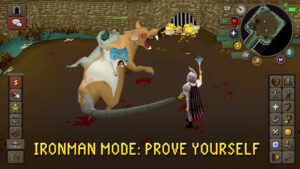 Old School RuneScape 240.6 Old School RuneScape 240.6